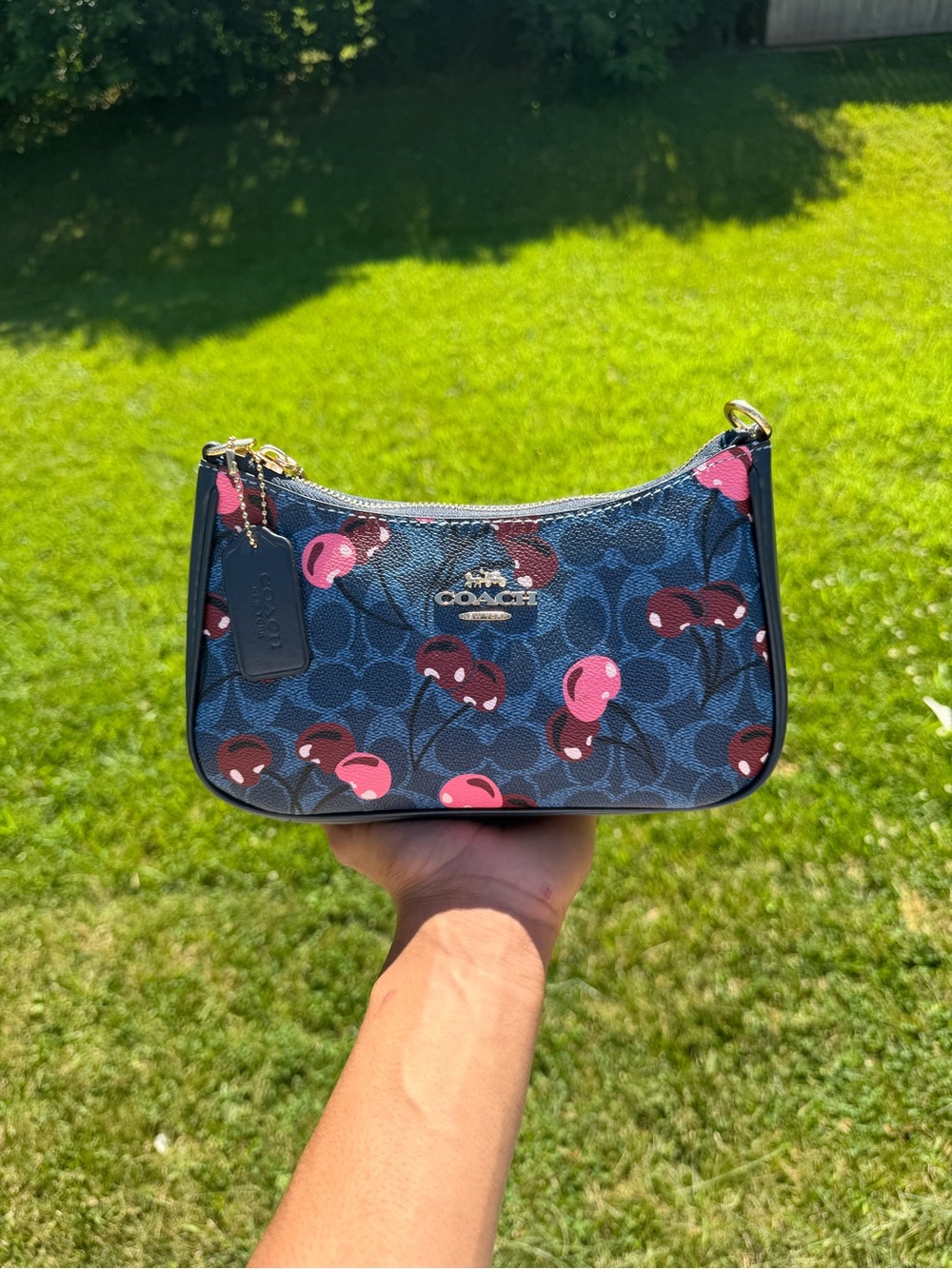 Shoulder or Crossbody Interior